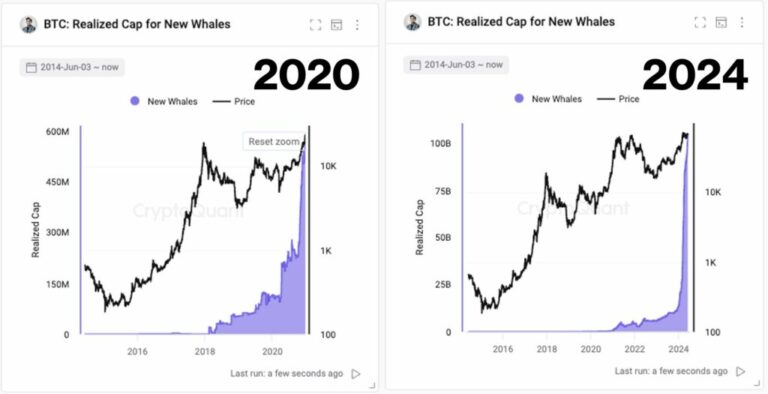 “Bitcoin has the same vibe as mid-2020”