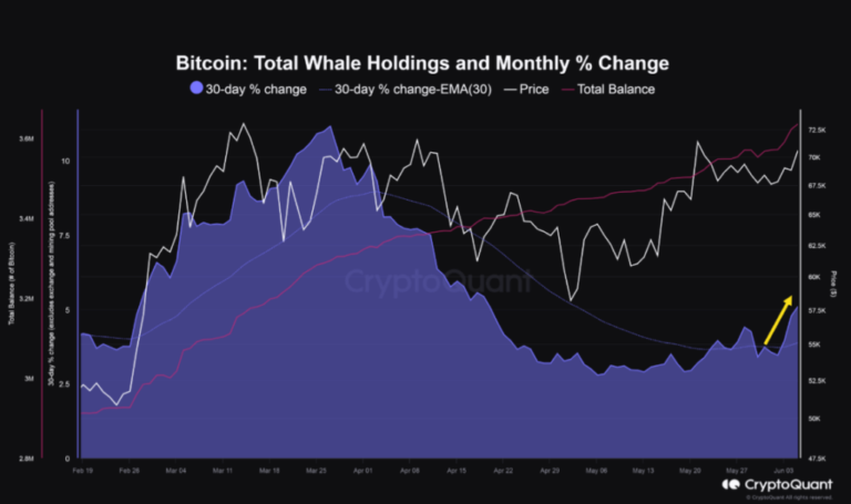 “Bitcoin whales’ appetite is back with a vengeance”