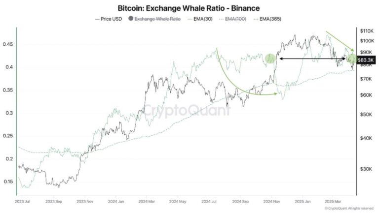 Bitcoin whales did not panic despite price drop