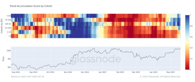 The FOMO by Bitcoin is taking over whales and small investors