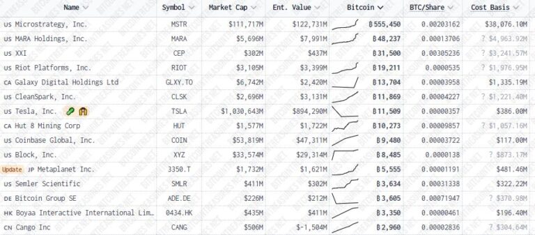 This is the great risk for Bitcoin in the current bullish cycle