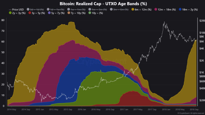 Bitcoin will have a different behavior from that of previous cycles, according to analyst