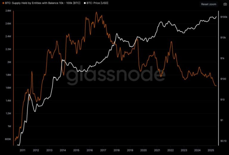 Who are the idiots who are selling Bitcoin? Willy Woo wonds
