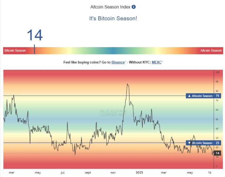 There is a strong “Bitcoin Season” in the market