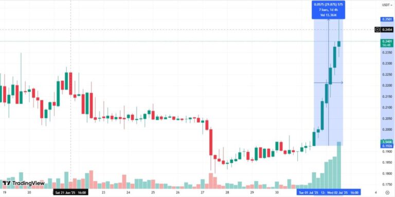 New Asic triggered the price of the cryptocurrency at 30%