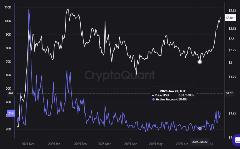 Expansive wave of the price of XRP activates thousands of accounts in its native network