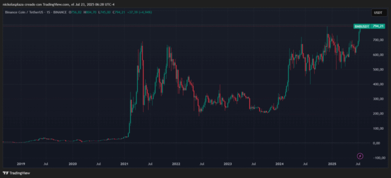 BNB Historical Maximum Brand Above $ 800