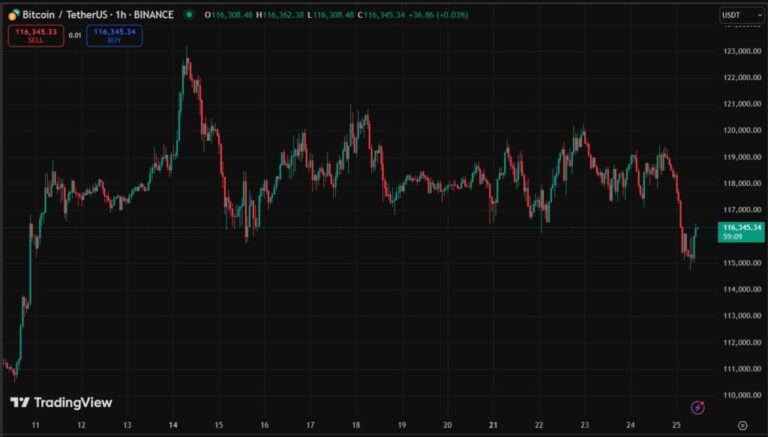 Bitcoin falls to $ 115,000; cryptocurrencies bleed