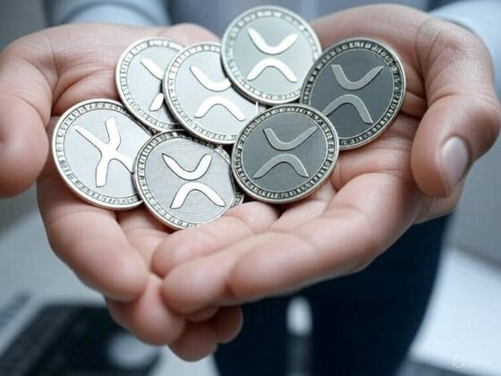 XRP accumulation career is about to start
