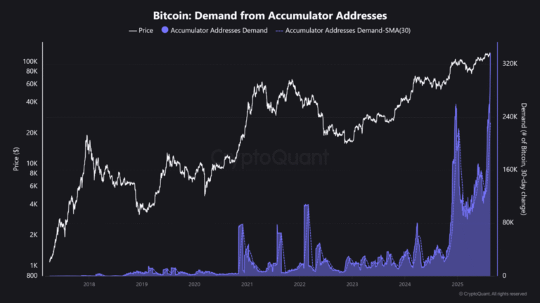 Bitcoin purchases shoot at maximum historical