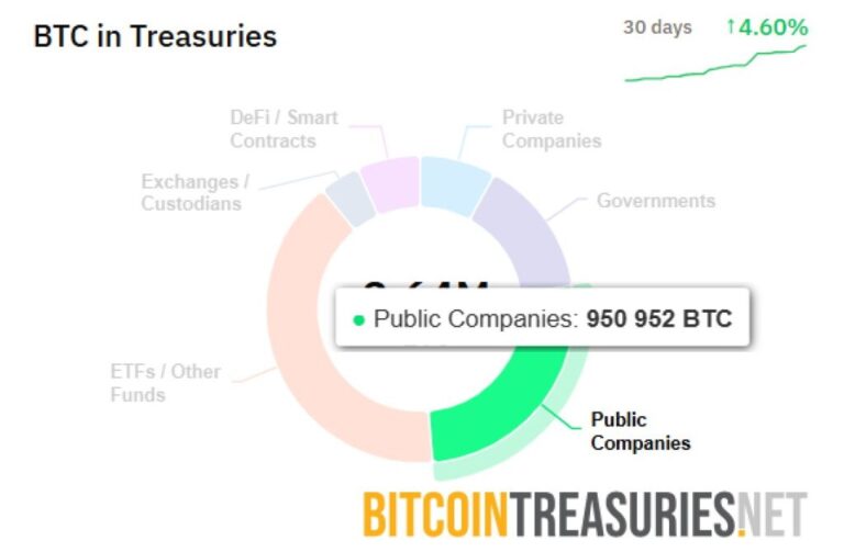 XRP, BNB and other cryptocurrencies go to corporate treasury, but … does this make sense?