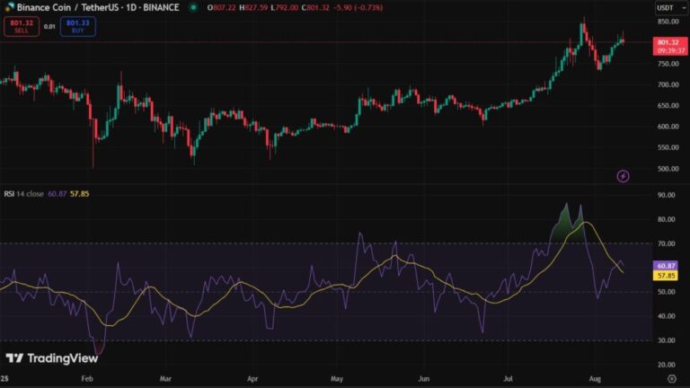 Binance cryptocurrency accelerates in search of historical maximum