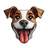 Explosive growth of Stablcoins: Utile process USD $ 90,000 million and triples its valuation