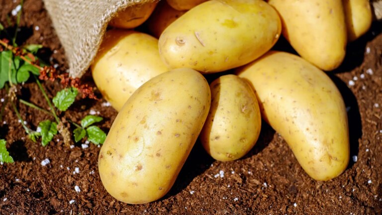 the basic foods that have become most expensive in October in the supermarket