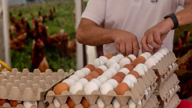 The egg rides on the rise in consumption and the rise in prices in full ‘revolution’ to improve animal welfare