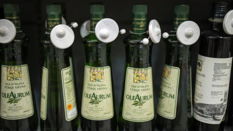 Back to normal? Olive oil ‘reaps’ consumers of pomace and sunflower after the fall in prices