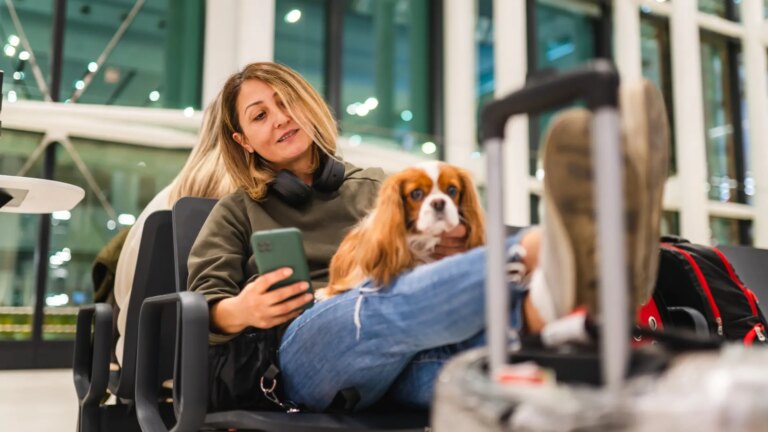 says airlines should not pay more for their loss