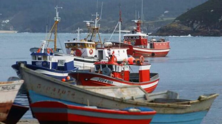 Spain will grant 13 more days of fishing to the Mediterranean Fleet so that it can fish until January