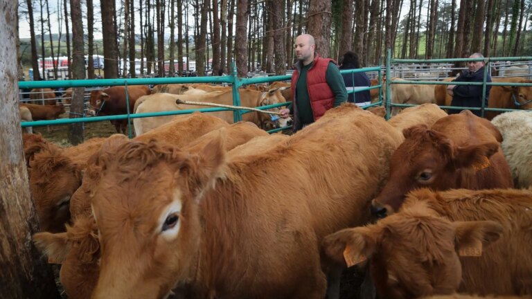 from methane emissions to antibiotics and the price