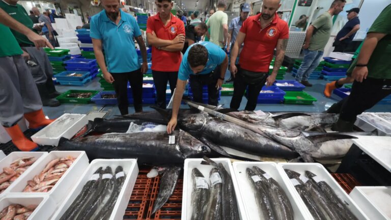 Brussels restrictions threaten Spanish fish on Christmas Eve