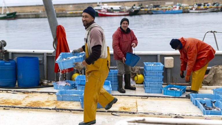 The Mediterranean fleet is rushing a solution with Brussels to save the Christmas campaign