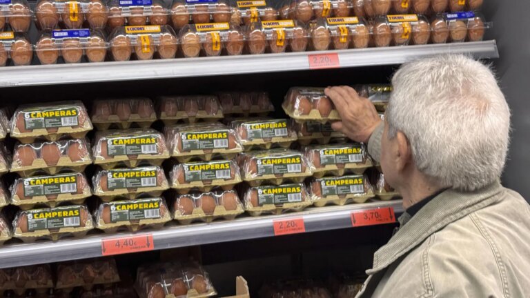 Spanish farms can continue selling ‘free-range eggs’ despite the confinement of chickens due to avian flu
