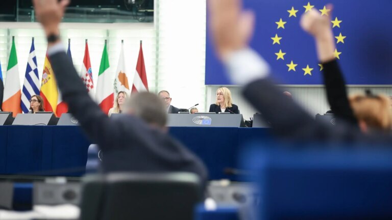 MEPs vote in favor of Morocco using other names in the labeling of origin for products from Western Sahara