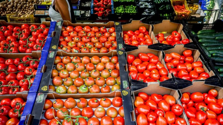 The field rejects allowing Morocco to change the origin of products from Western Sahara: “It favors unfair competition”
