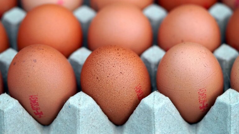 The Government’s position on a possible reduction in VAT on the price of eggs