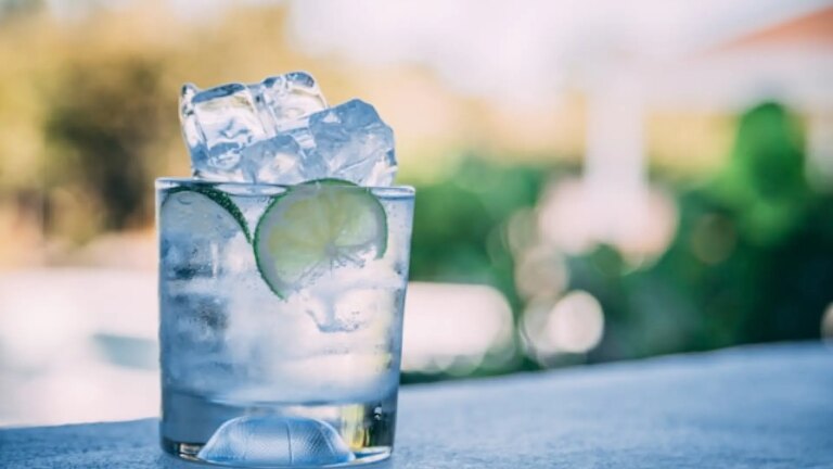Europe makes it illegal to sell non-alcoholic drinks with the word ‘Gin’ on their labeling