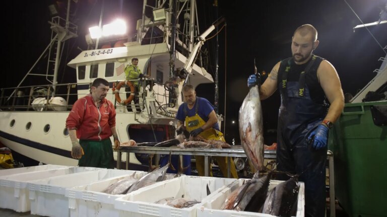 Critical summit for Spanish fishing that tries to avoid another ‘snip’ from Brussels in the Mediterranean