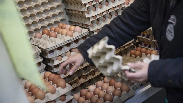 Eggs, coffee, beef and chocolate have skyrocketed their prices so far this year, with double-digit increases
