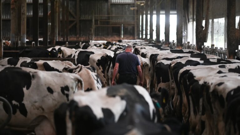 “It will make it very difficult to compete in the market”