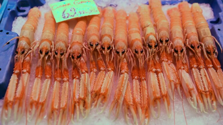 No crayfish for Christmas? Spain closes fishing for this seafood in the Gulf of Cádiz during its peak sales season