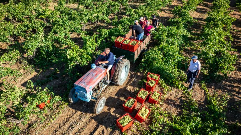 the countryside gains prominence in the new electoral cycle