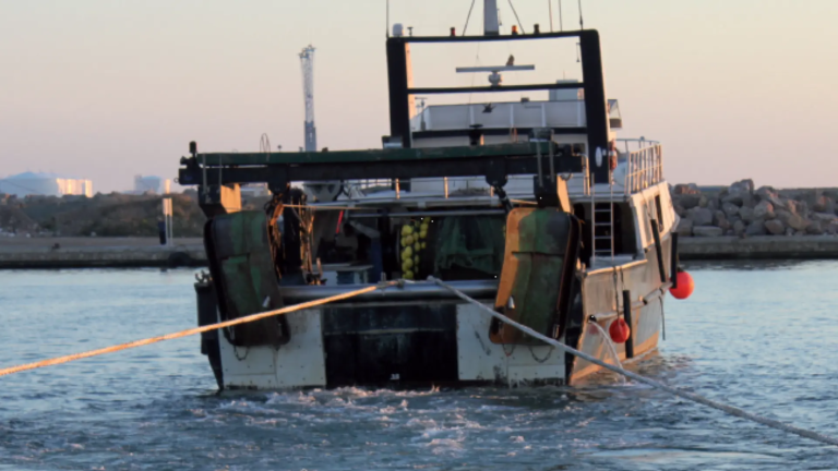 The trawl fleet is at risk in Brussels: Will Europe stop fishing for prawns, shrimp or crayfish?