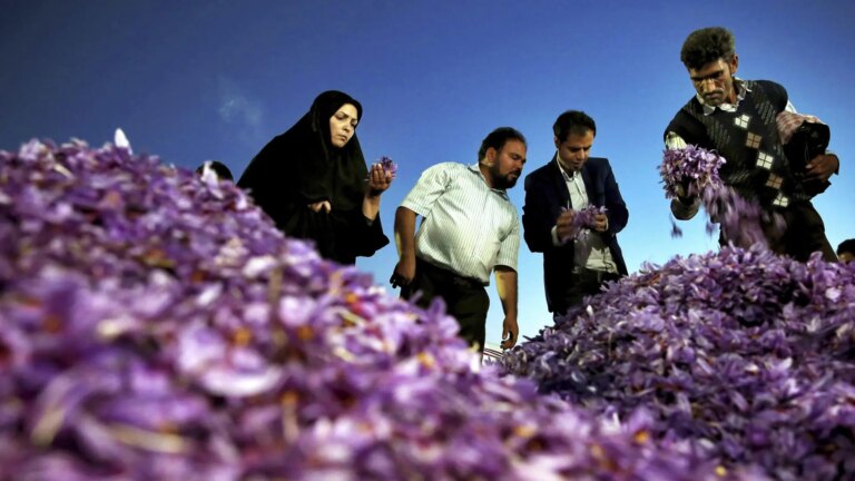 The massive purchase of Iranian saffron and the sale of machinery and medicine exposes Spain to Trump’s new 25% ‘tariff’
